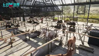 传奇三大职业深度解析：战士、法师、道士，谁才是你的本命？