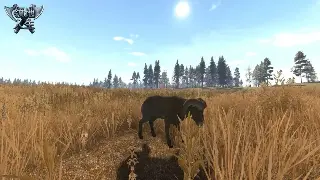 私服开服动态：哪些传奇私服最新鲜？GM爆料！ poster